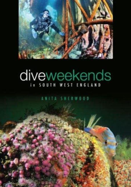 Vorderes Coverbild Dive Weekends in South West England