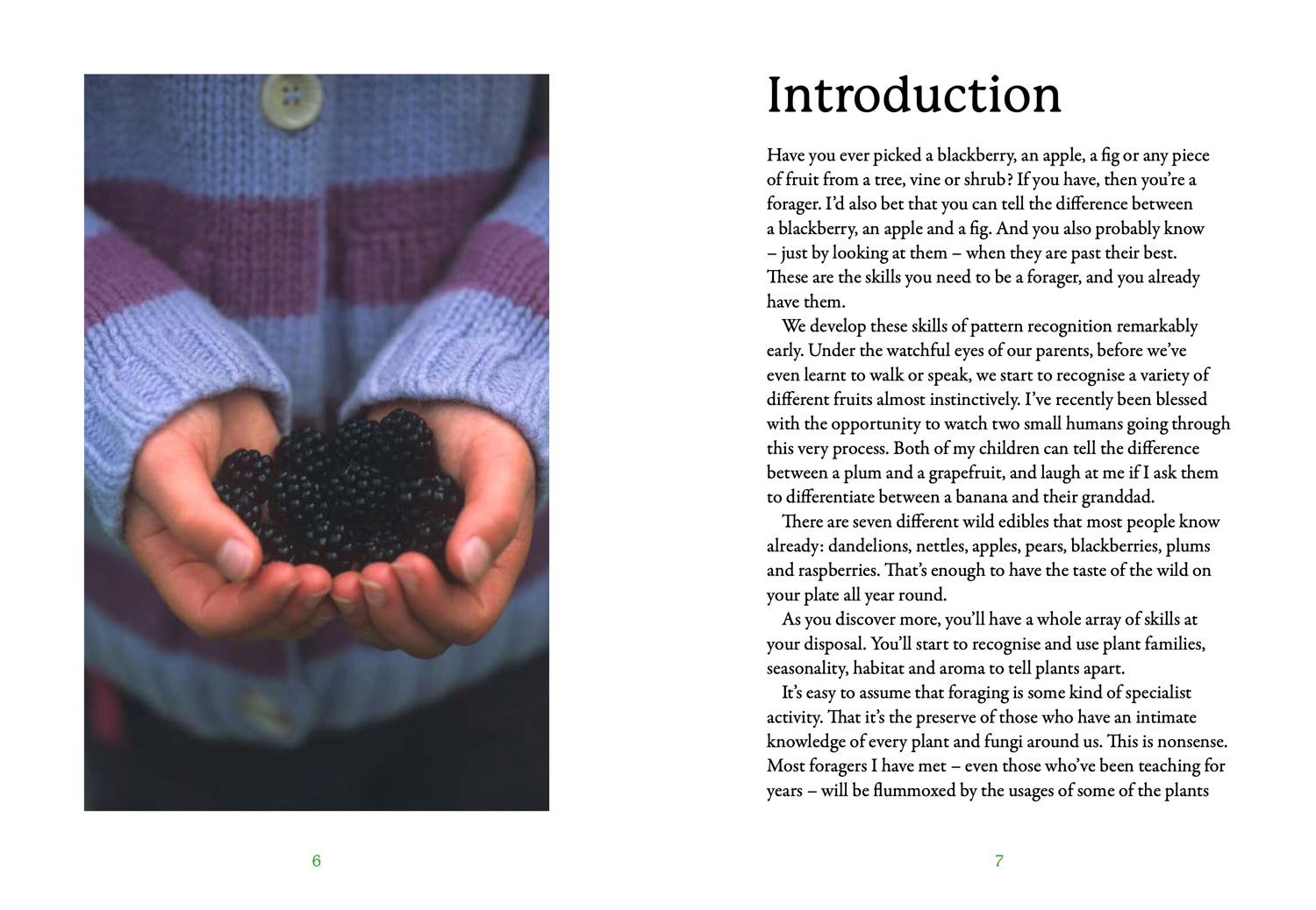 Beispielinhalt (Bild) The First-Time Forager