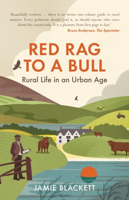 Vorderes Coverbild Red Rag To A Bull