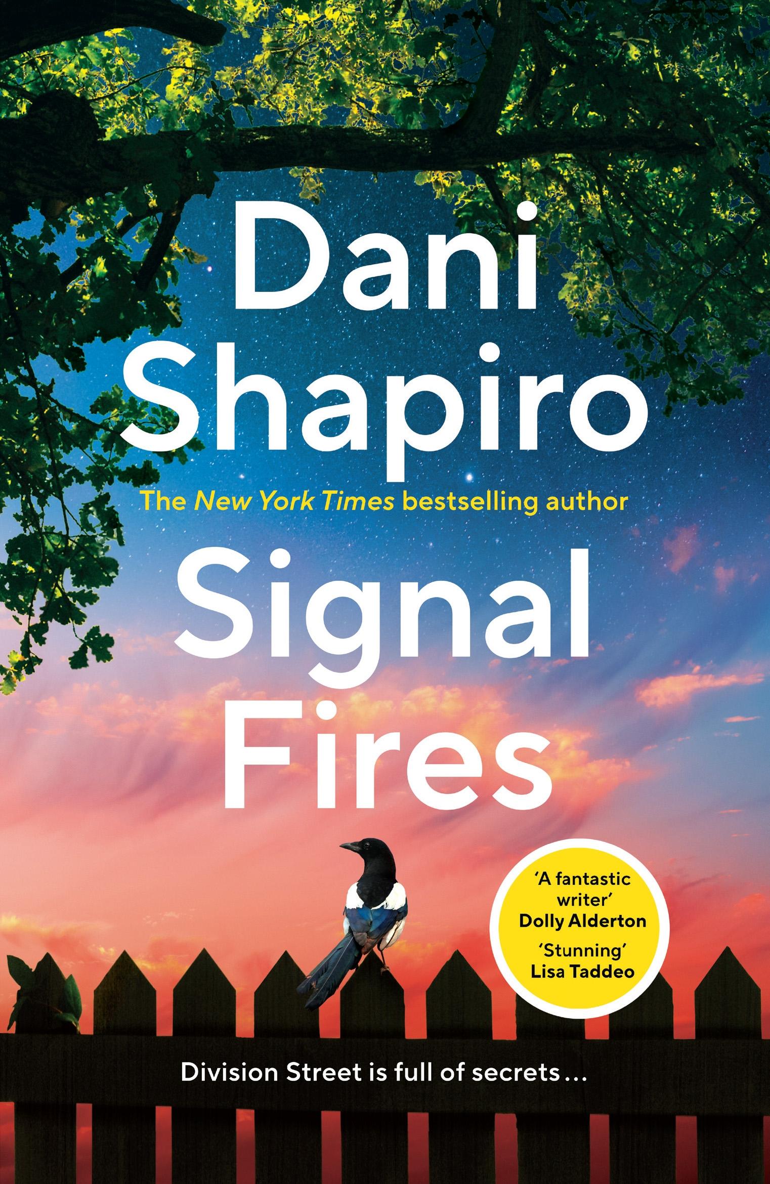 Vorderes Coverbild Signal Fires