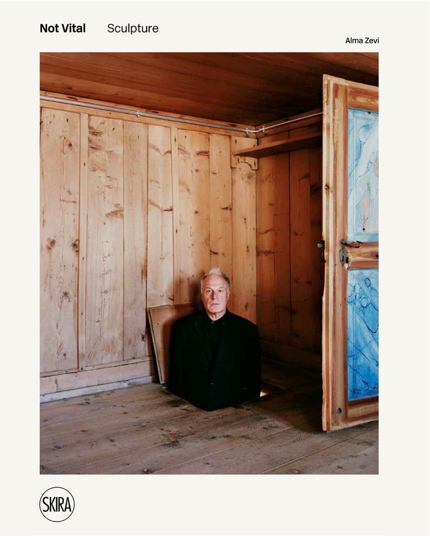 Vorderes Coverbild Not Vital: Sculpture