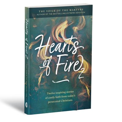 Vorderes Coverbild Hearts of Fire 2