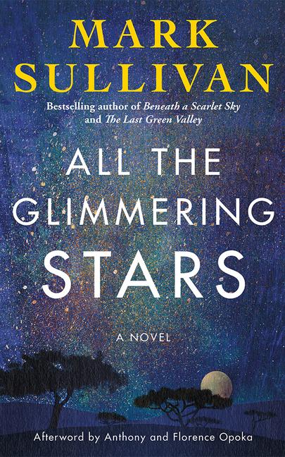 Vorderes Coverbild All the Glimmering Stars