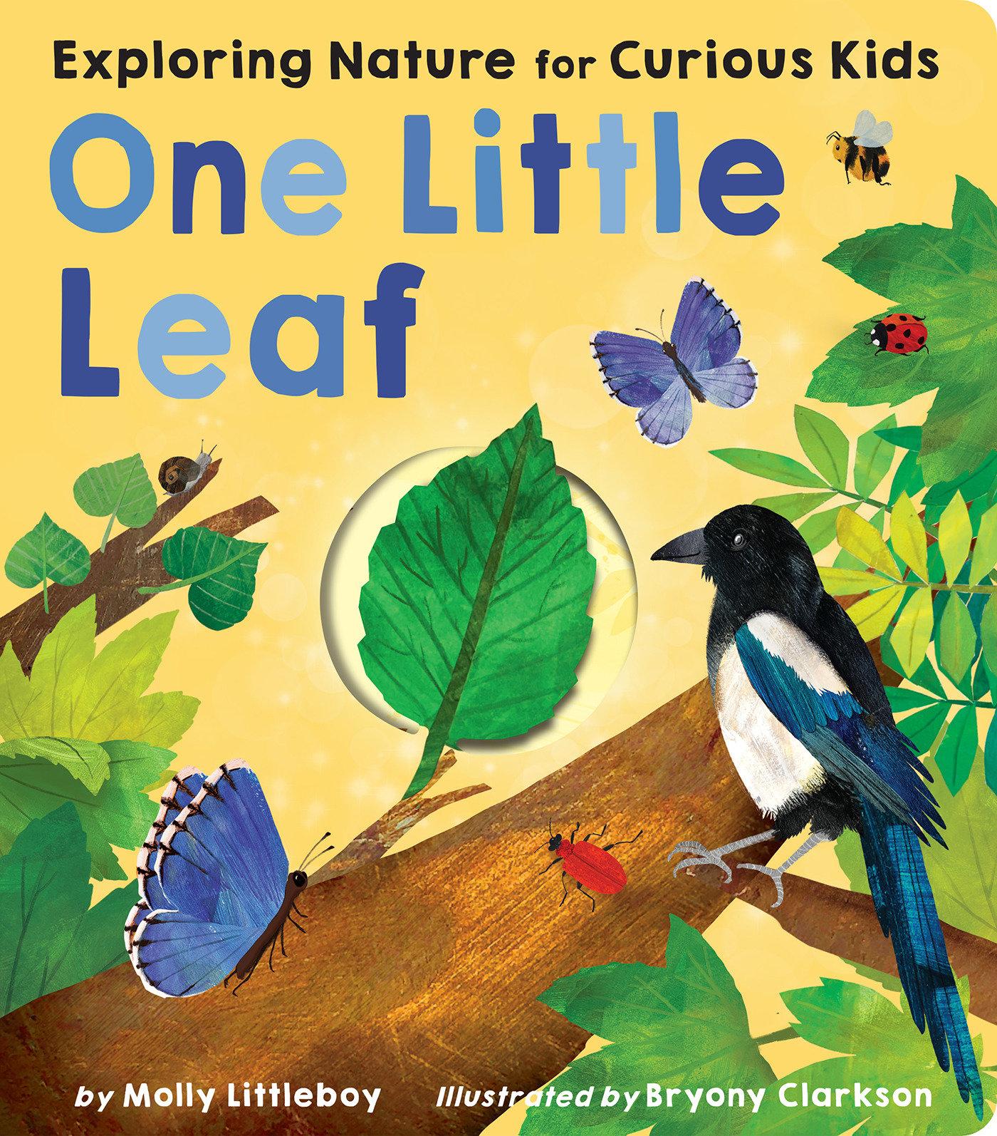 Vorderes Coverbild One Little Leaf