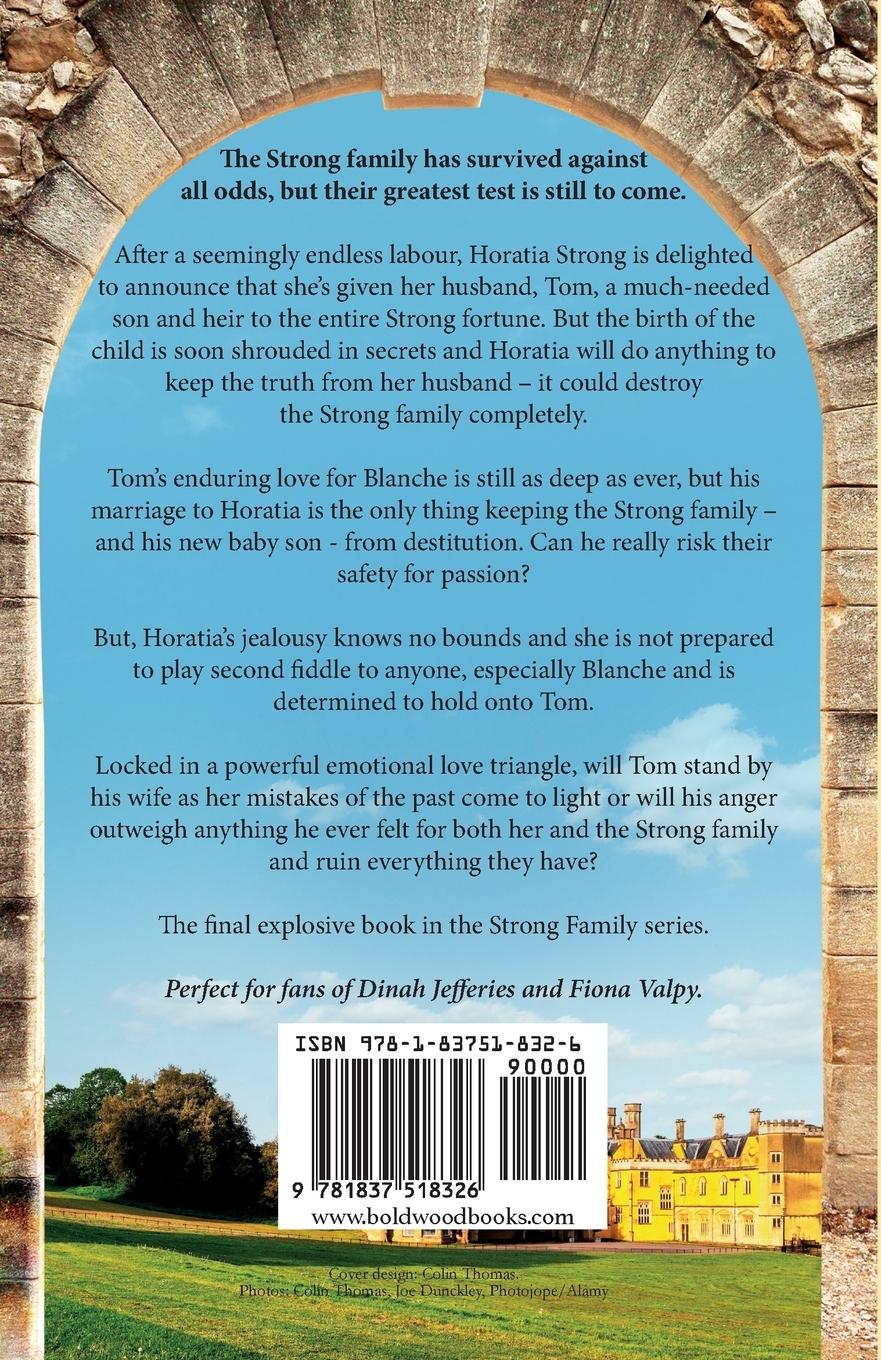 Rückseitencover Secrets of the Past