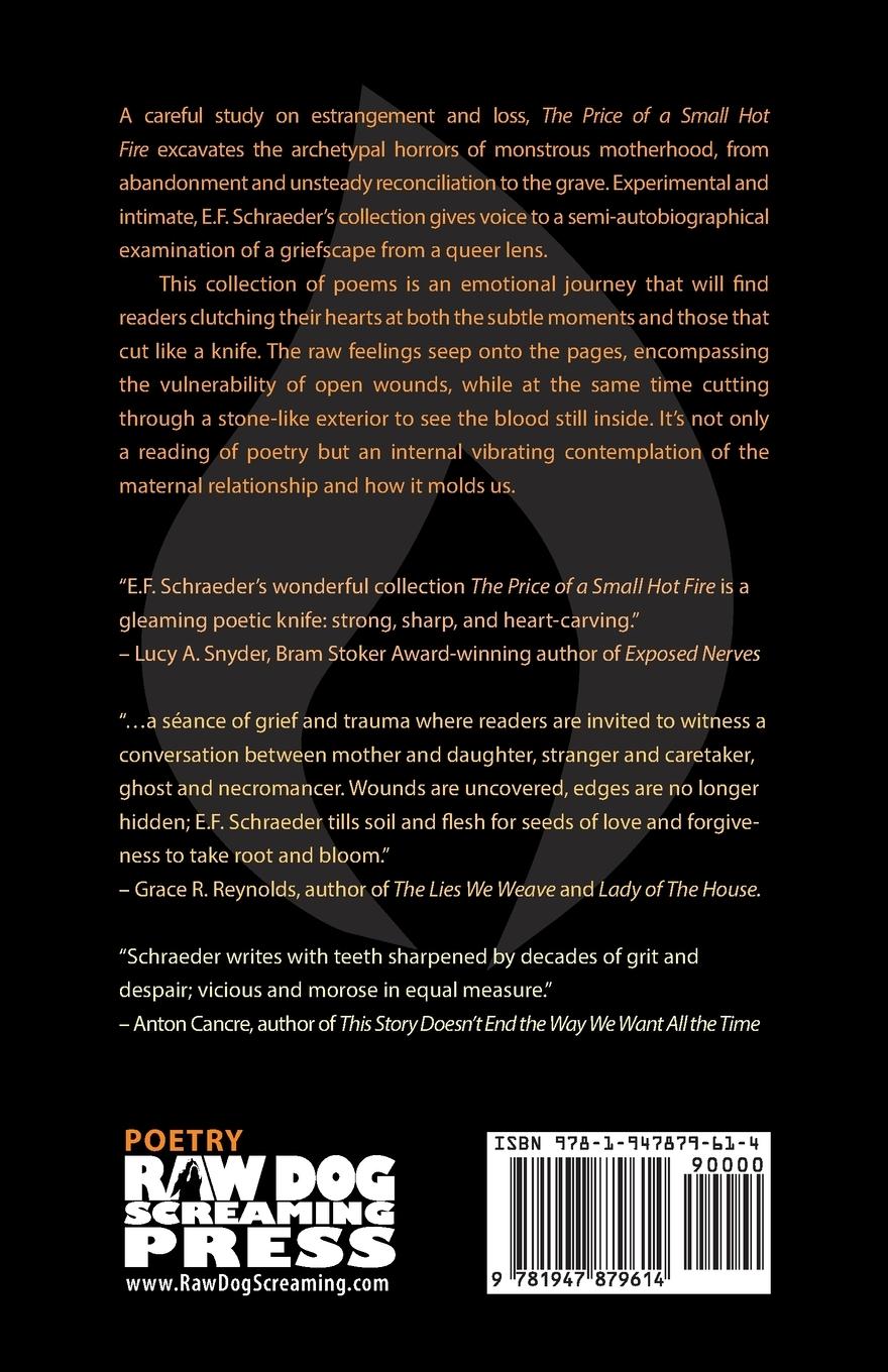 Rückseitencover The Price of a Small Hot Fire