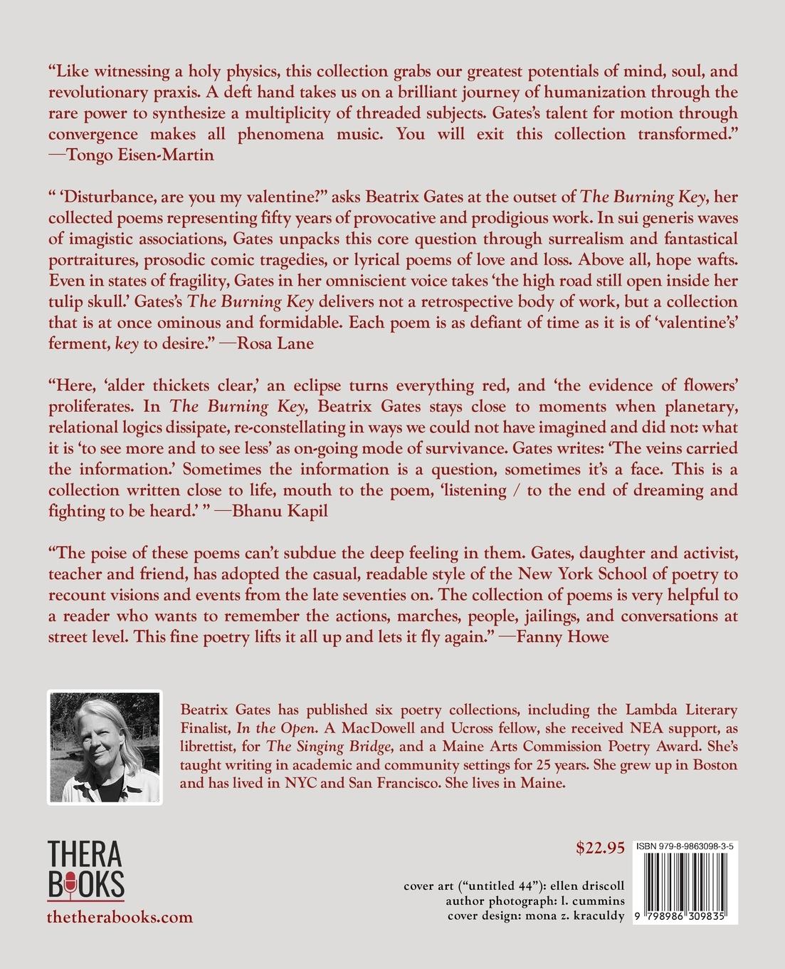 Rückseitencover The Burning Key