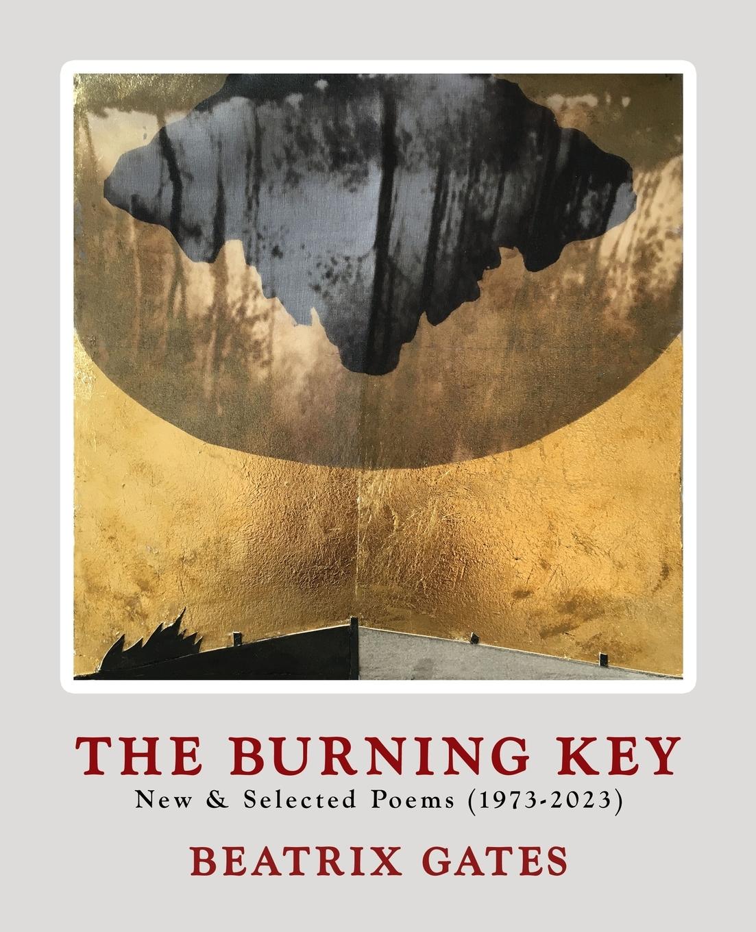 Vorderes Coverbild The Burning Key