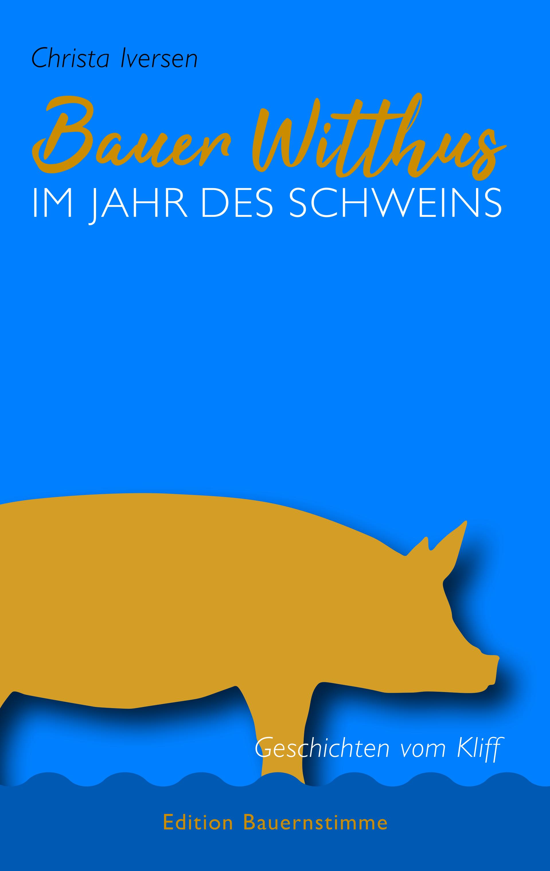 Vorderes Coverbild Bauer Witthus