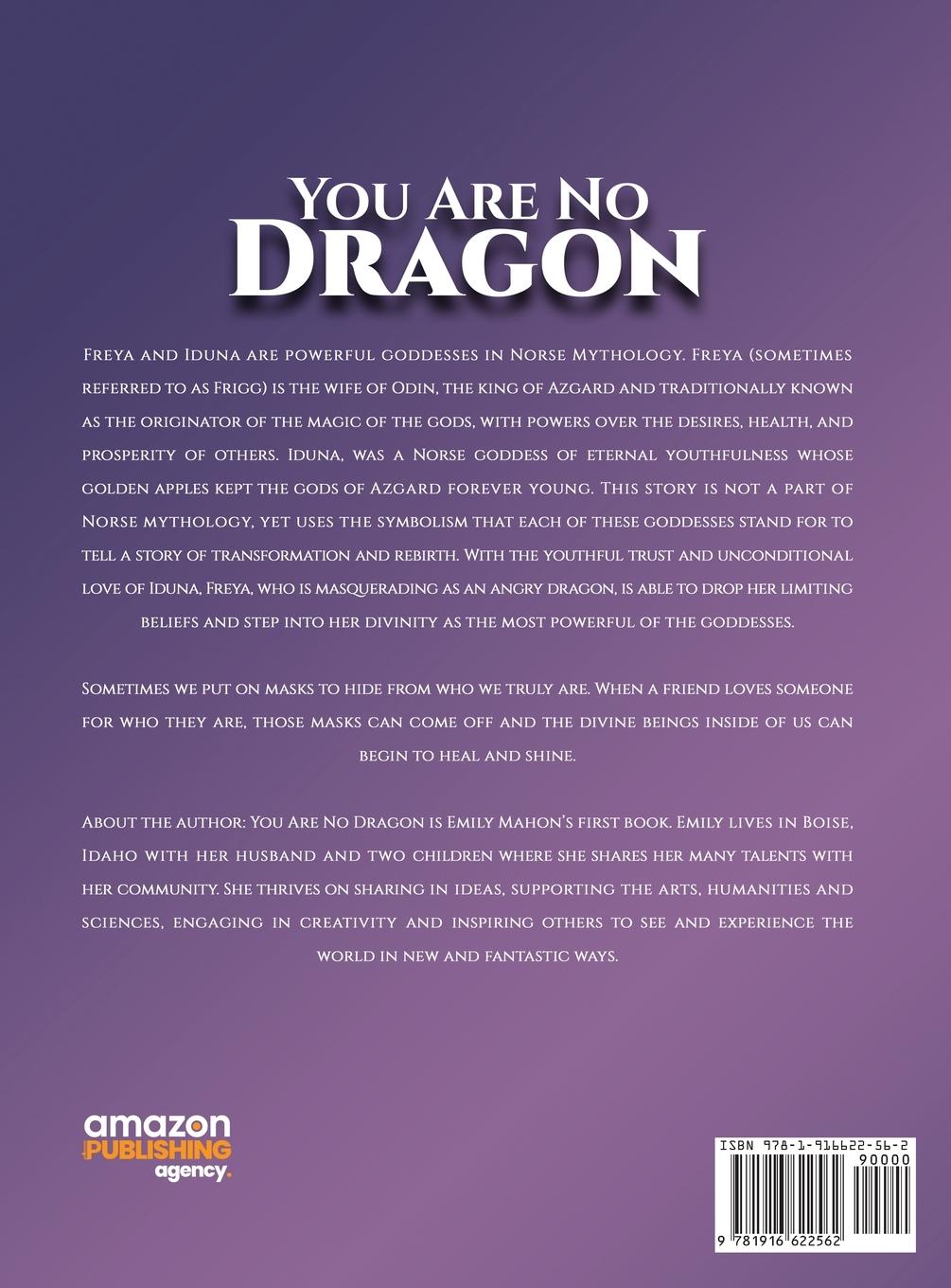 Rückseitencover You Are No Dragon