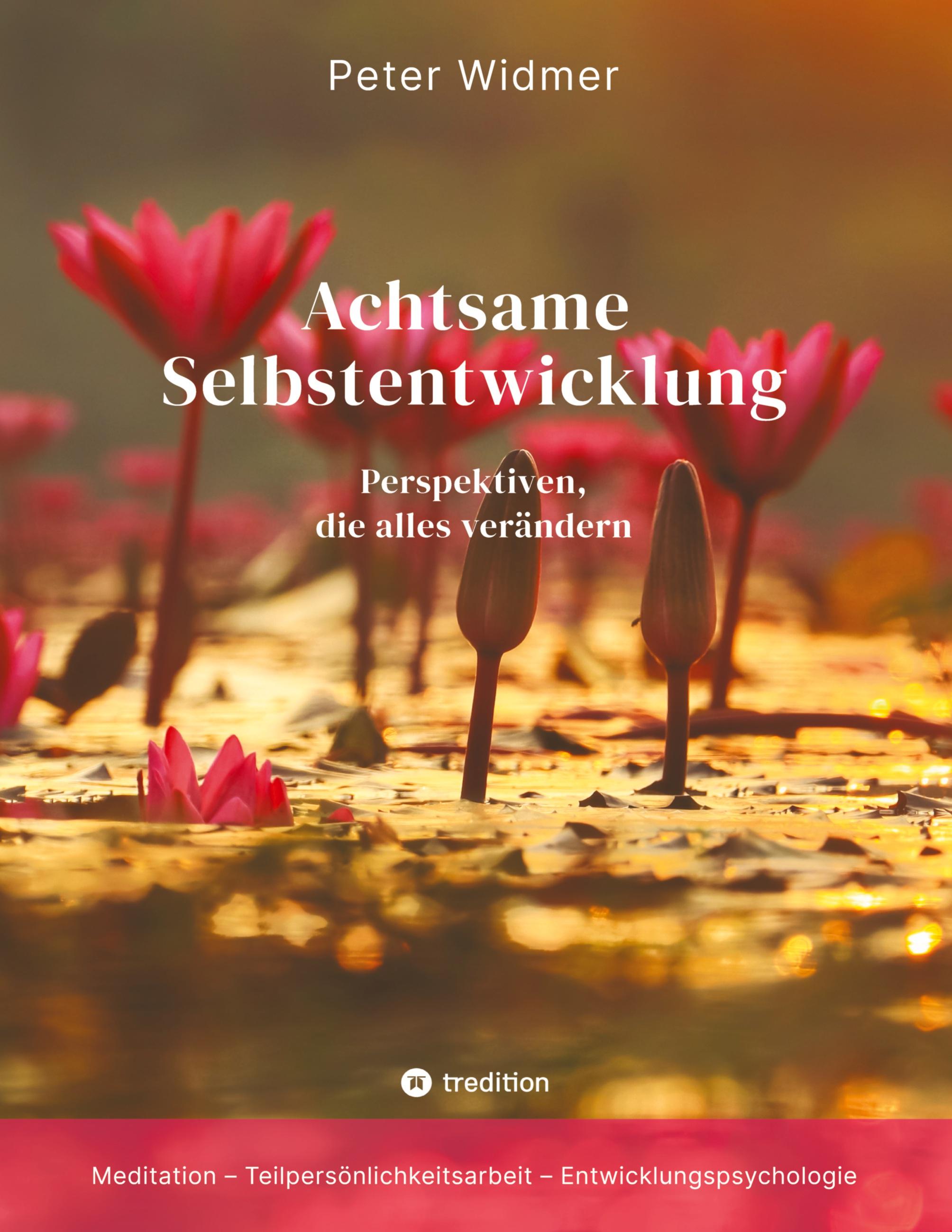 Vorderes Coverbild Achtsame Selbstentwicklung