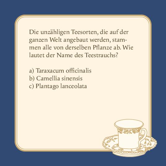 Beispielinhalt (Bild) Das Tee-Quiz