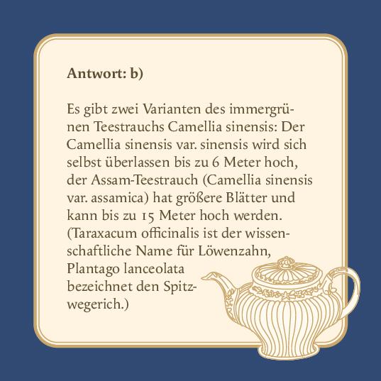 Beispielinhalt (Bild) Das Tee-Quiz