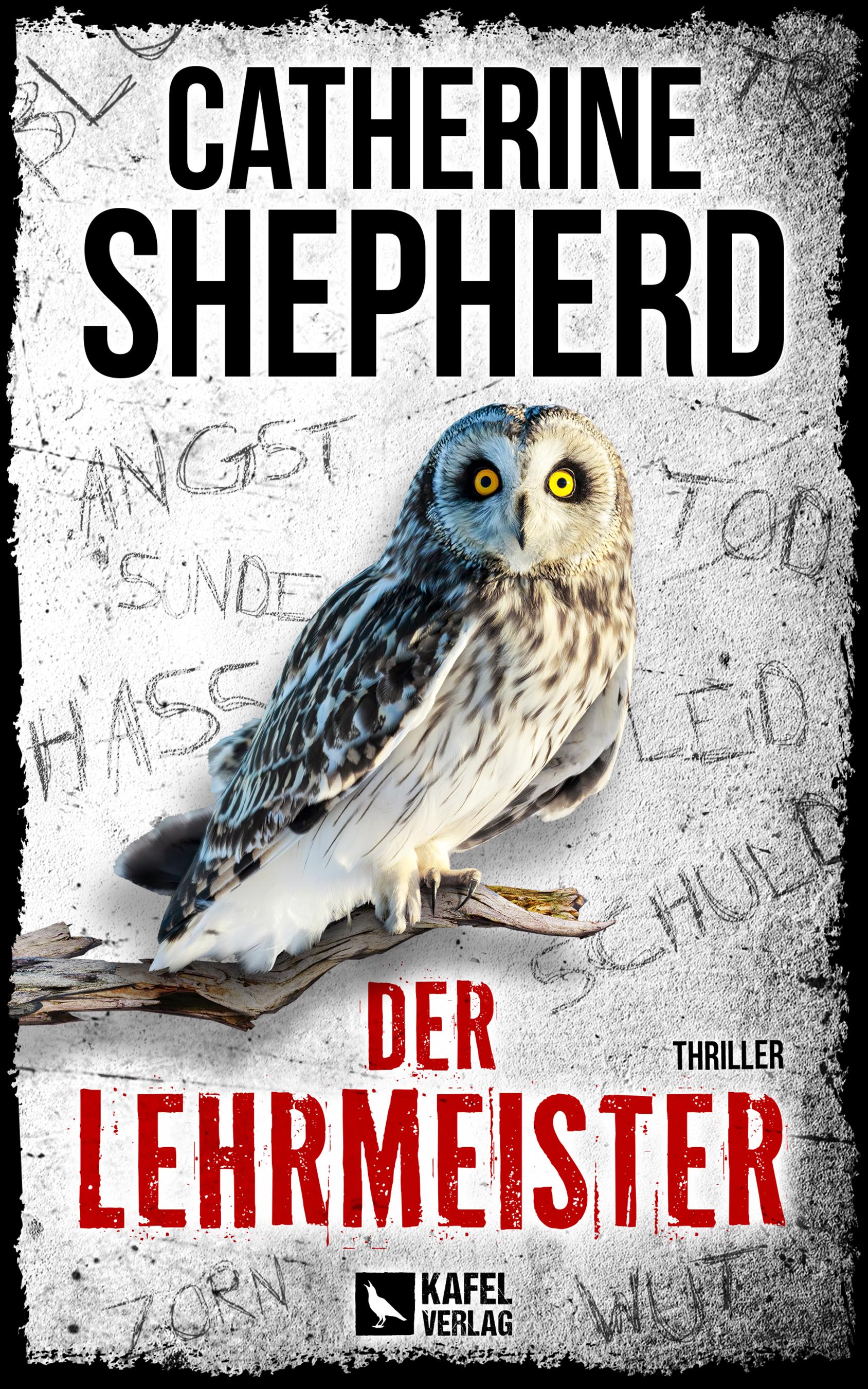 Vorderes Coverbild Der Lehrmeister: Thriller