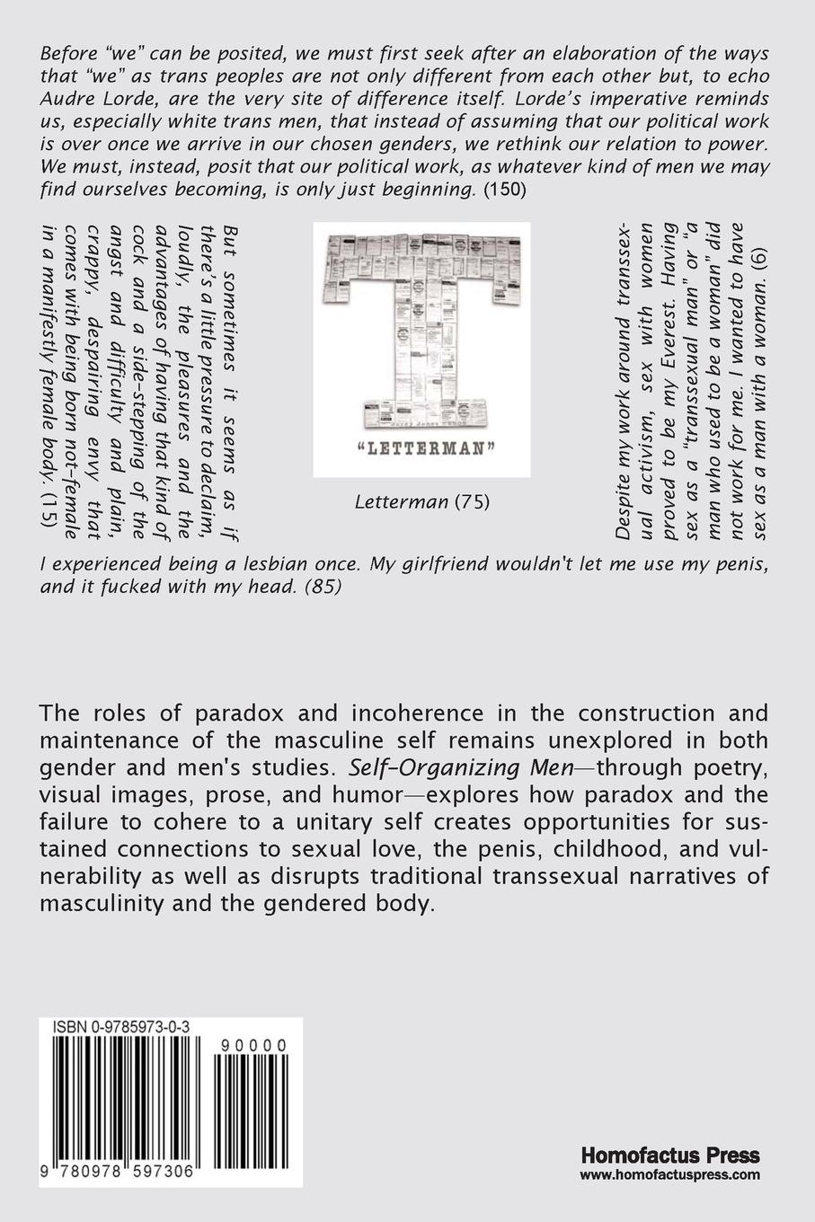 Rückseitencover Self-Organizing Men: Conscious Masculinities in Time and Space