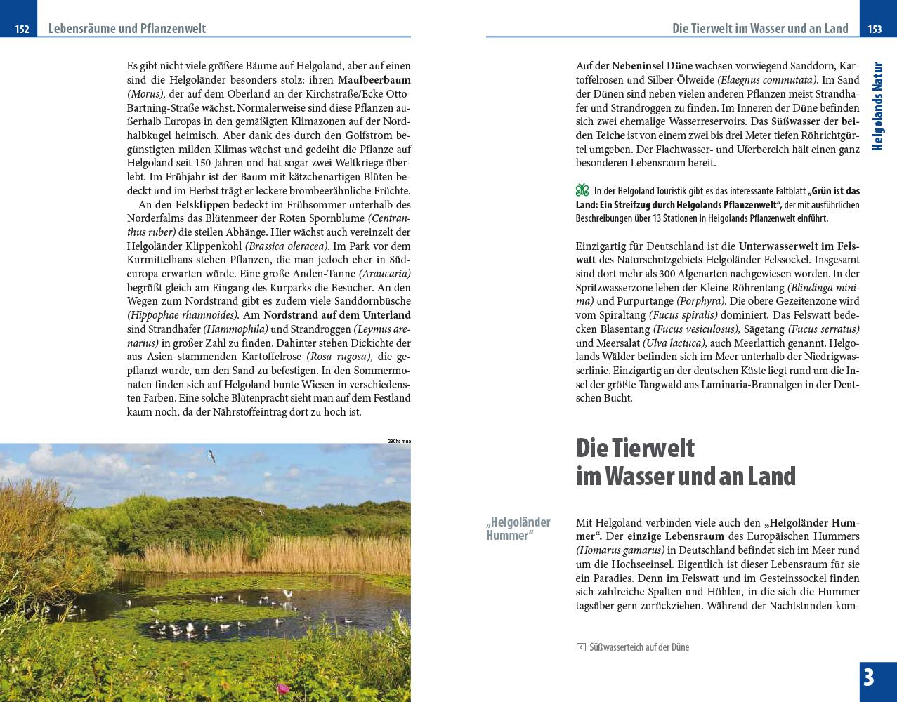 Beispielinhalt (Bild) Reise Know-How Reiseführer Helgoland