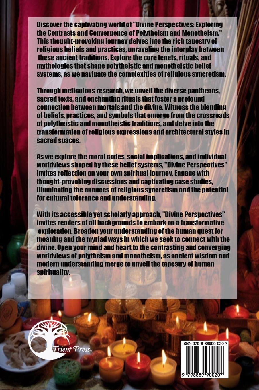 Rückseitencover Divine Perspectives