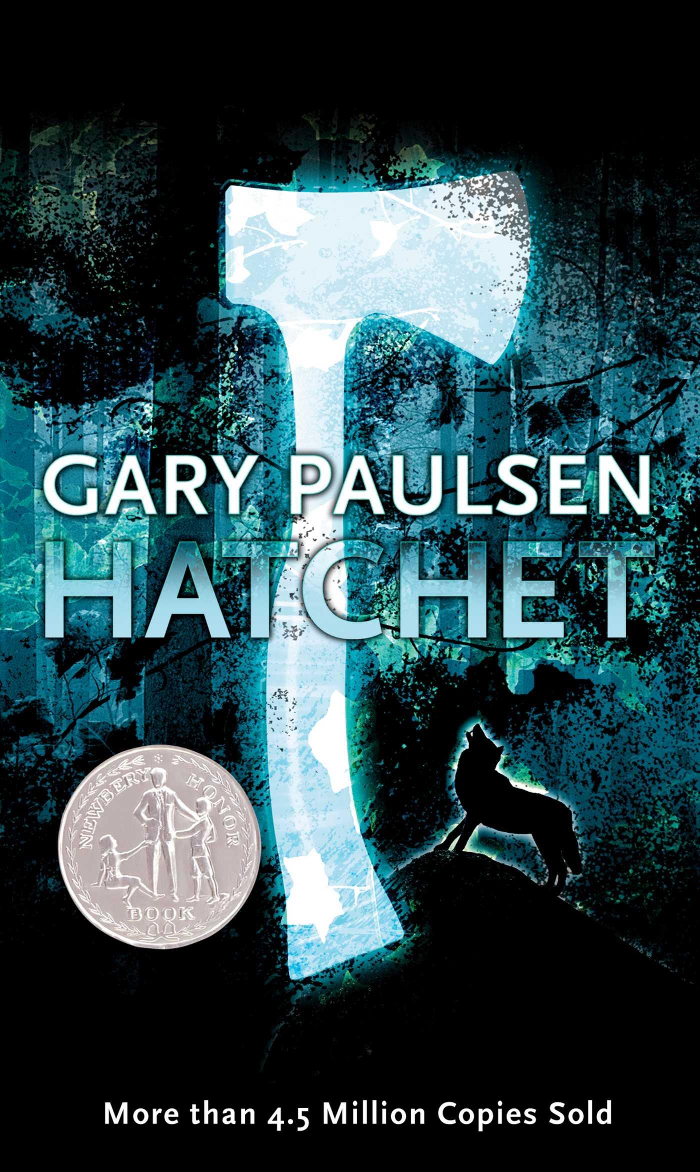 Vorderes Coverbild Hatchet