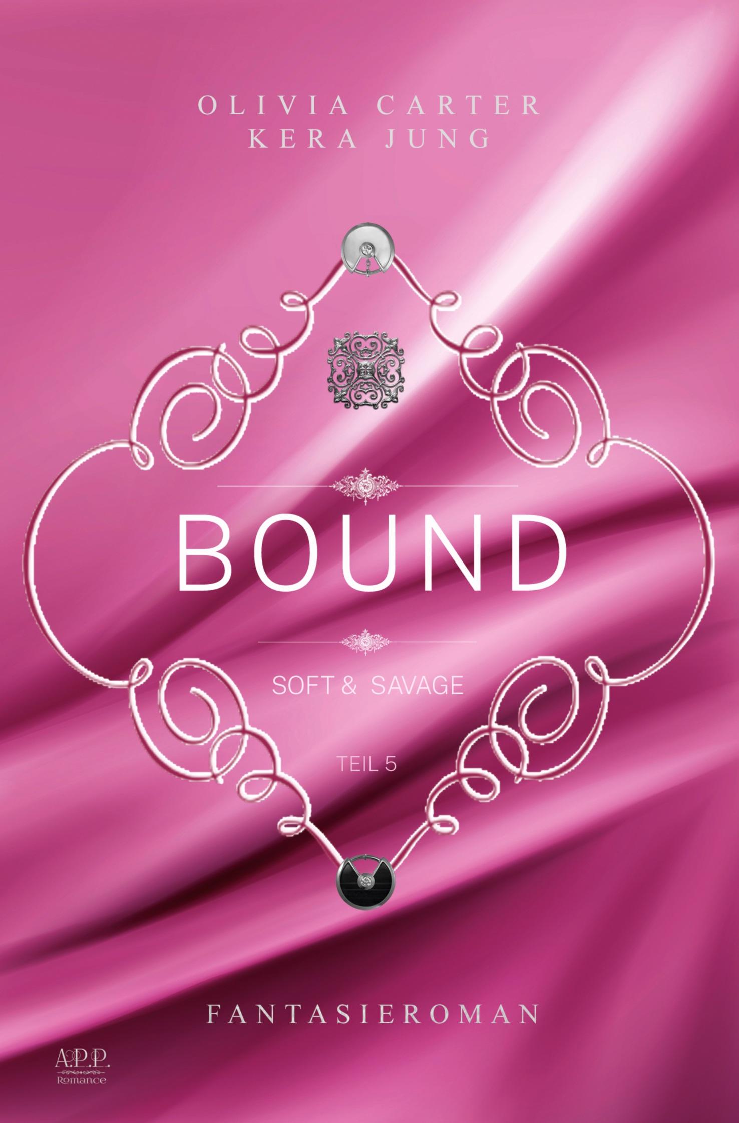 Vorderes Coverbild Bound: Soft & Savage