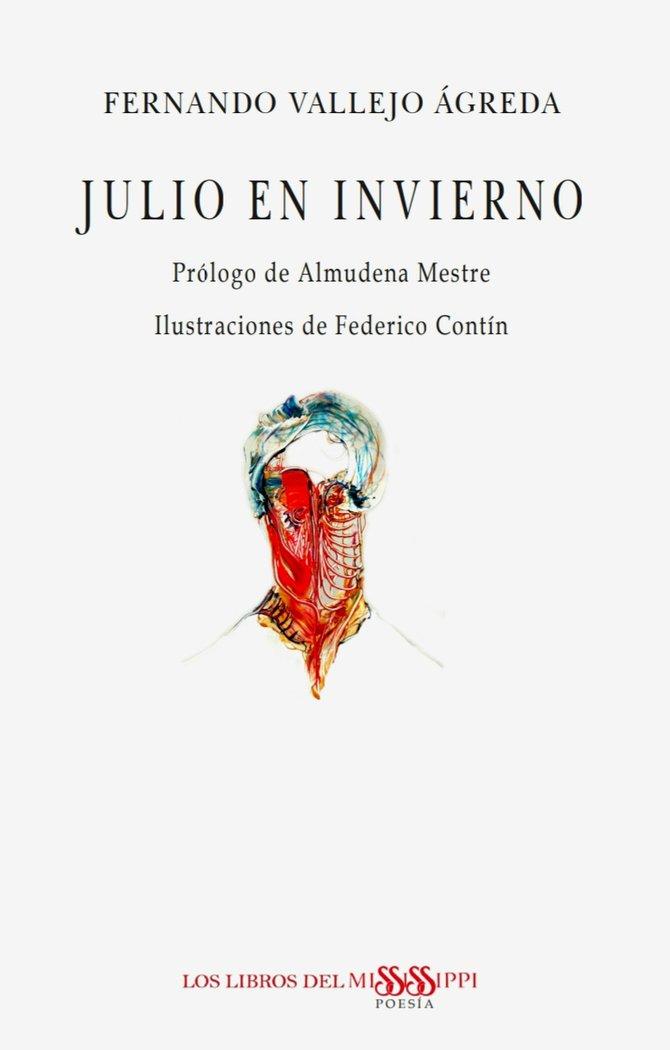 Vorderes Coverbild Julio en invierno