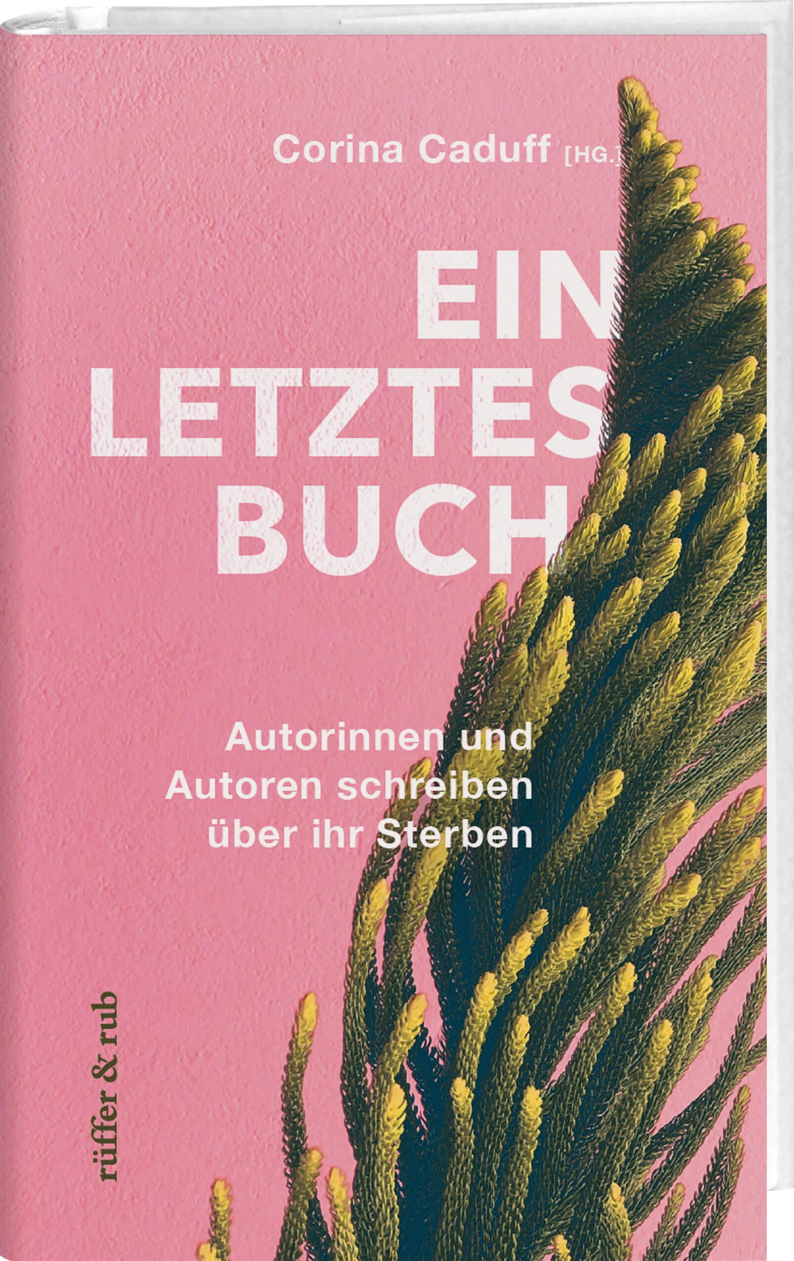 Vorderes Coverbild Ein letztes Buch