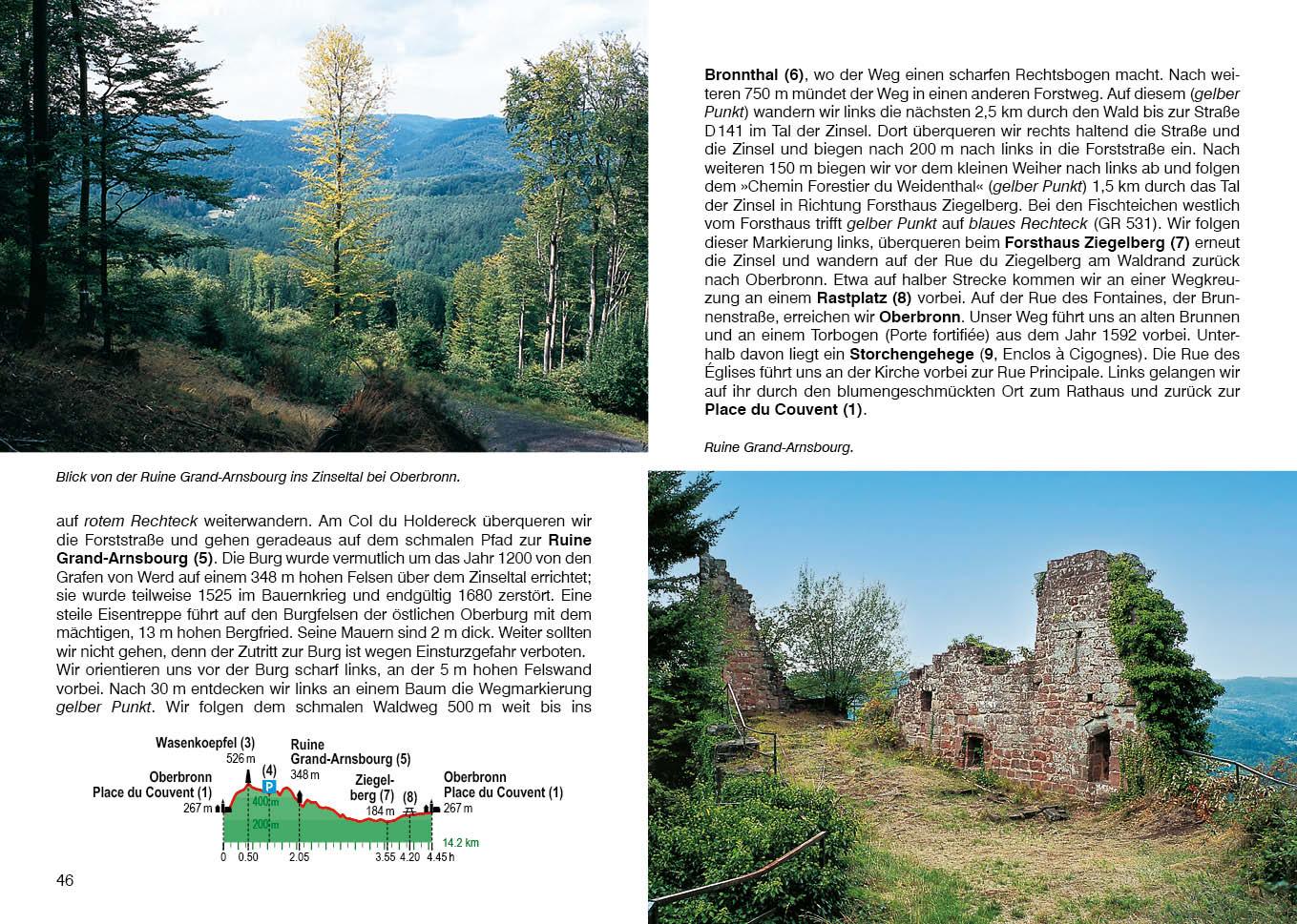 Beispielinhalt (Bild) Elsass