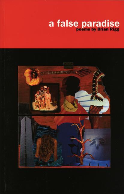 Vorderes Coverbild A False Paradise