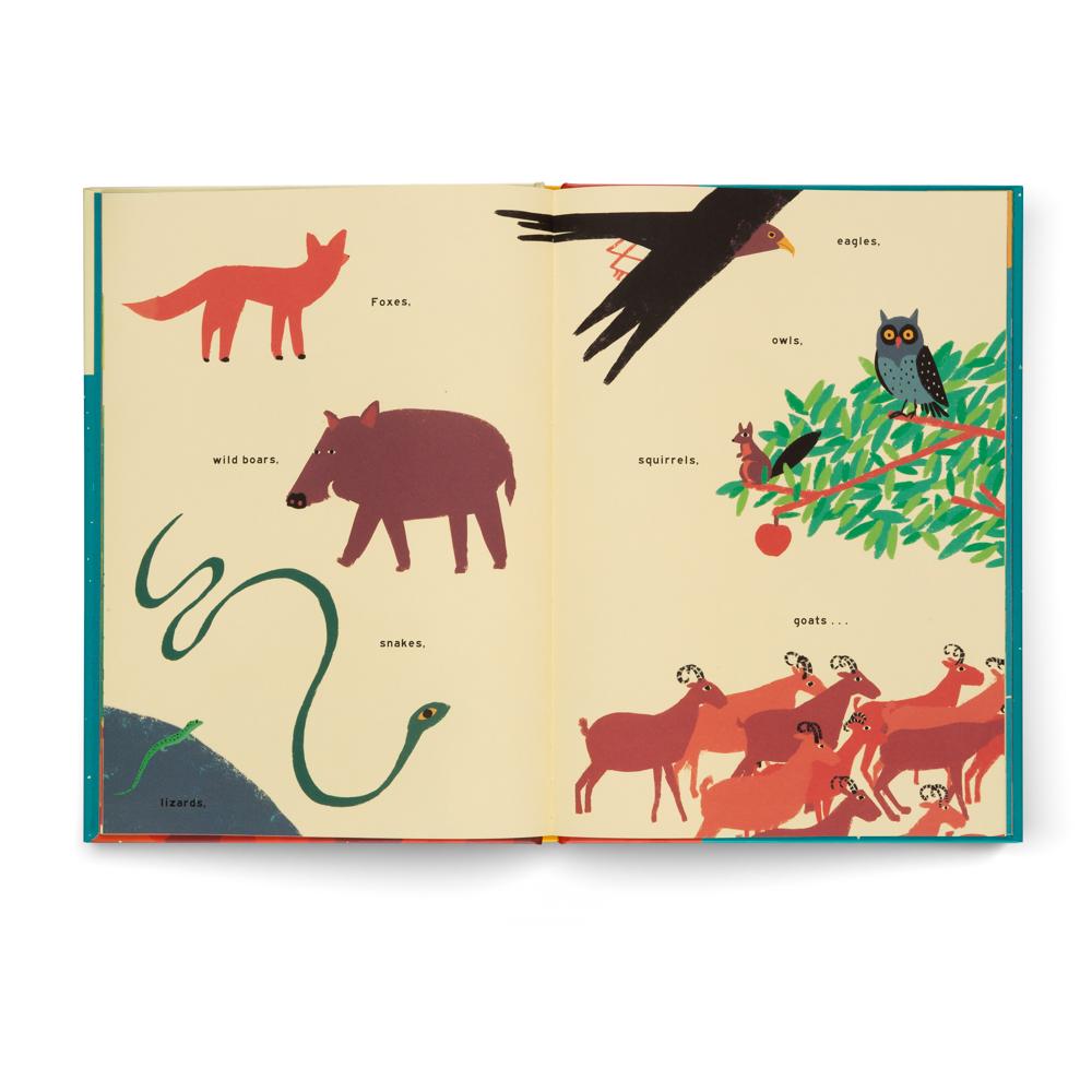 Beispielinhalt (Bild) The Mountain