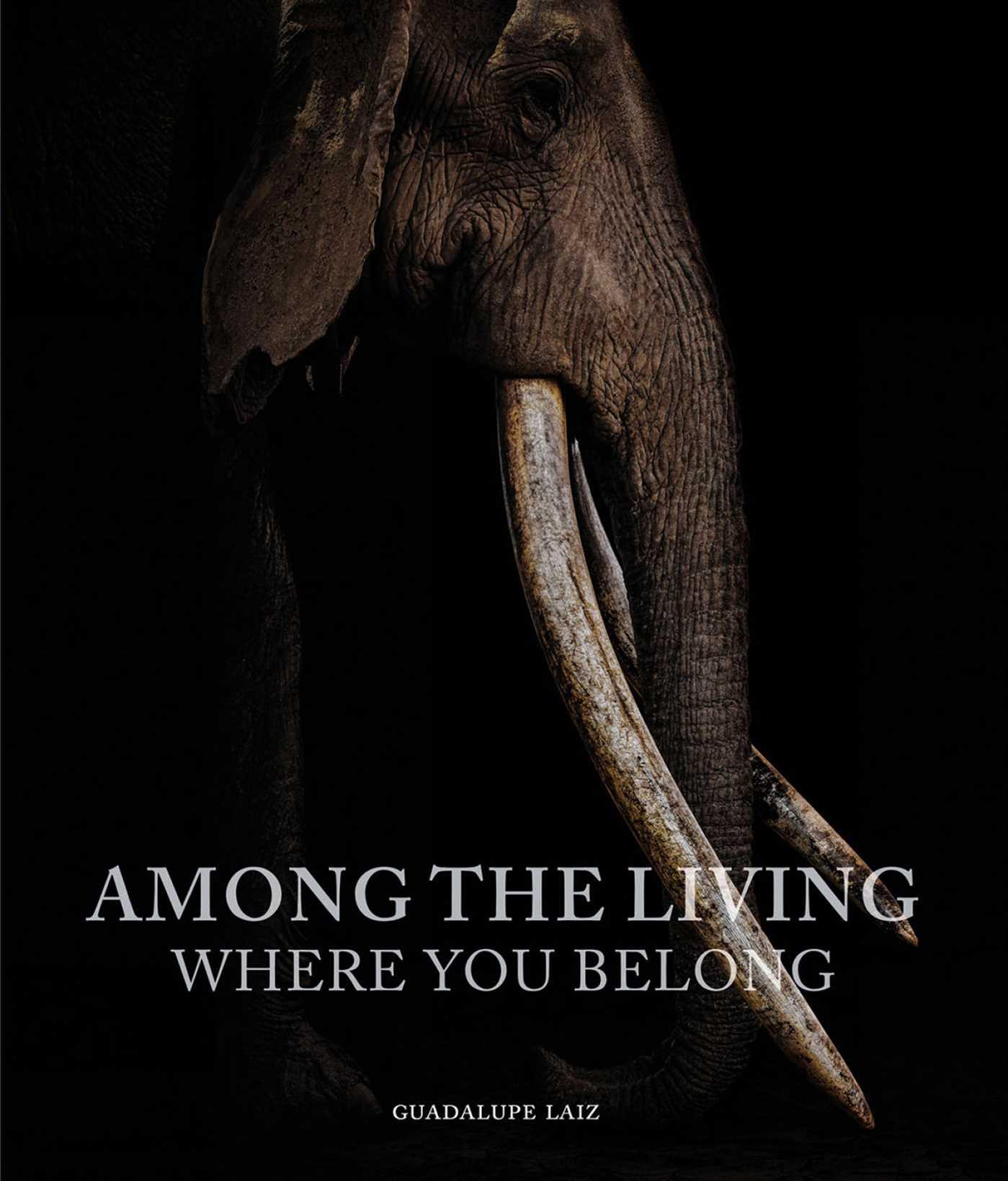 Vorderes Coverbild Among the Living