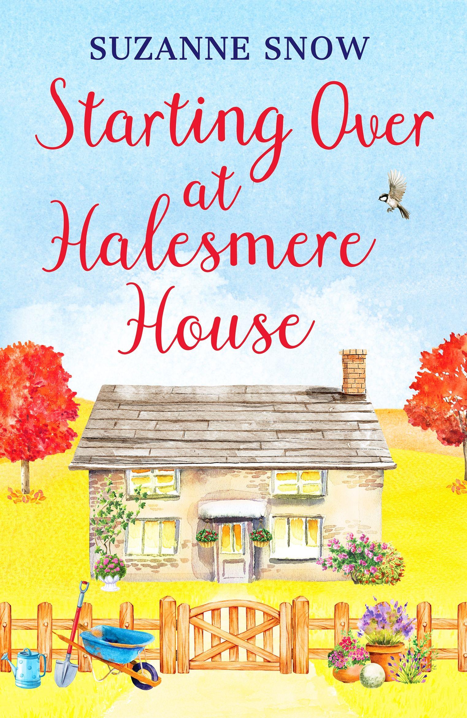 Vorderes Coverbild Starting Over at Halesmere House