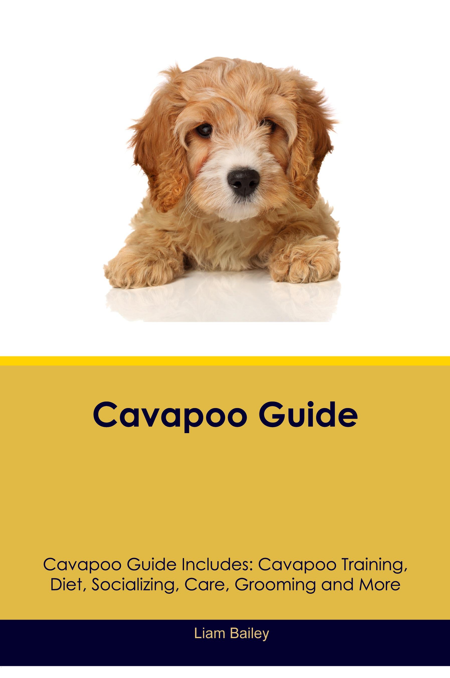 Vorderes Coverbild Cavapoo Guide  Cavapoo Guide Includes
