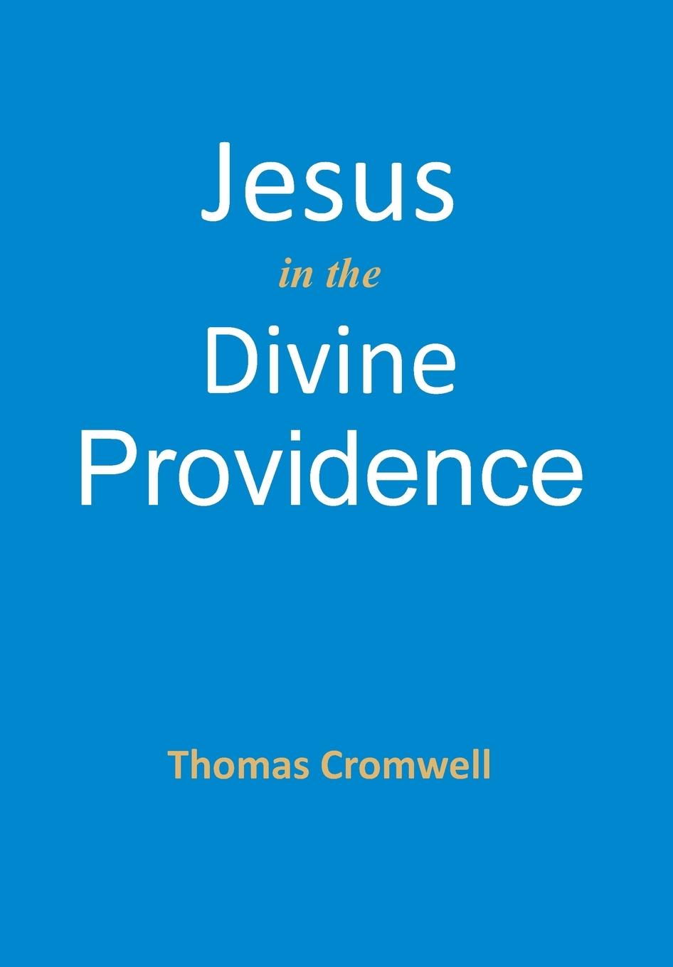 Vorderes Coverbild Jesus in the Divine Providence