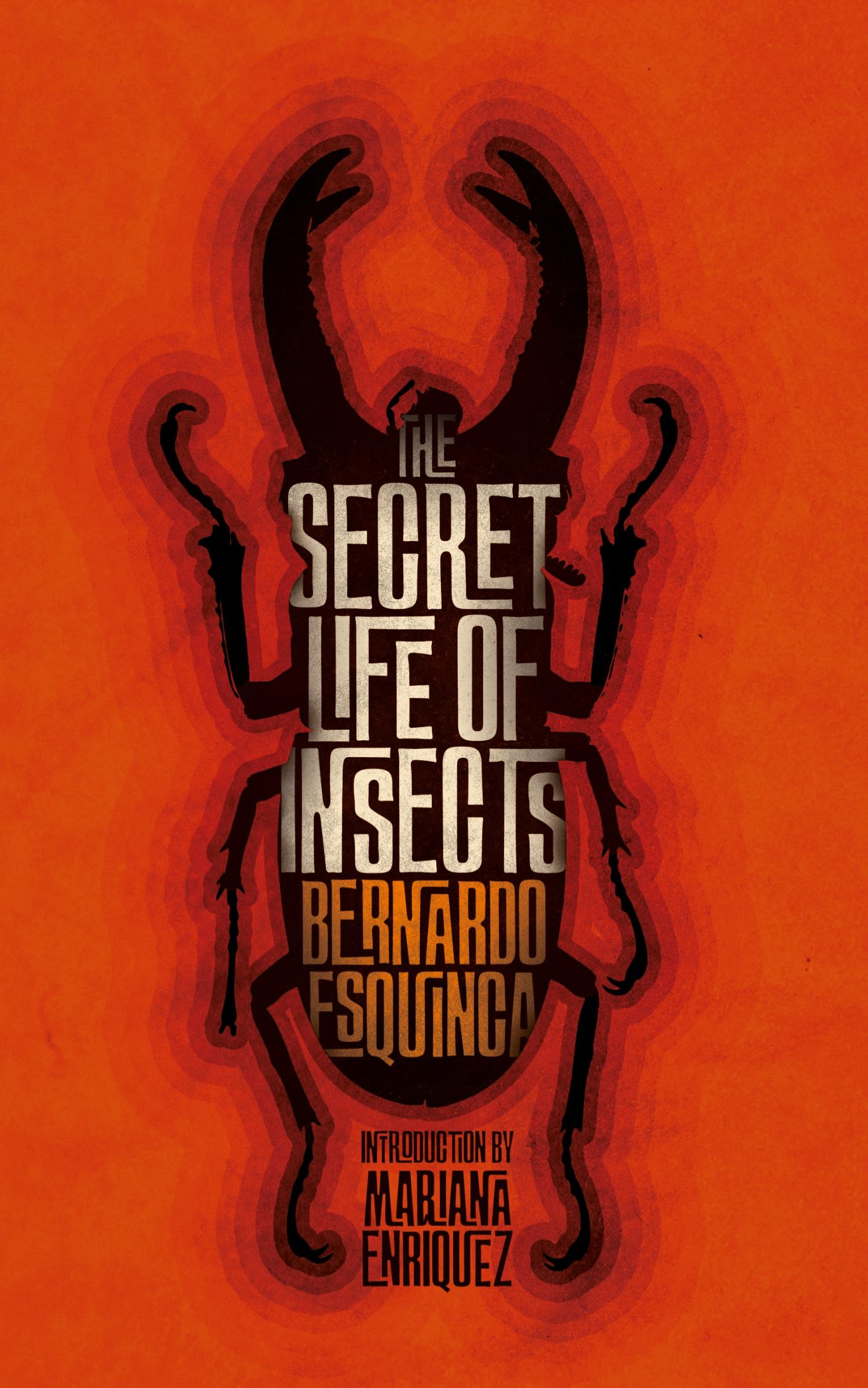Vorderes Coverbild The Secret Life of Insects and Other Stories
