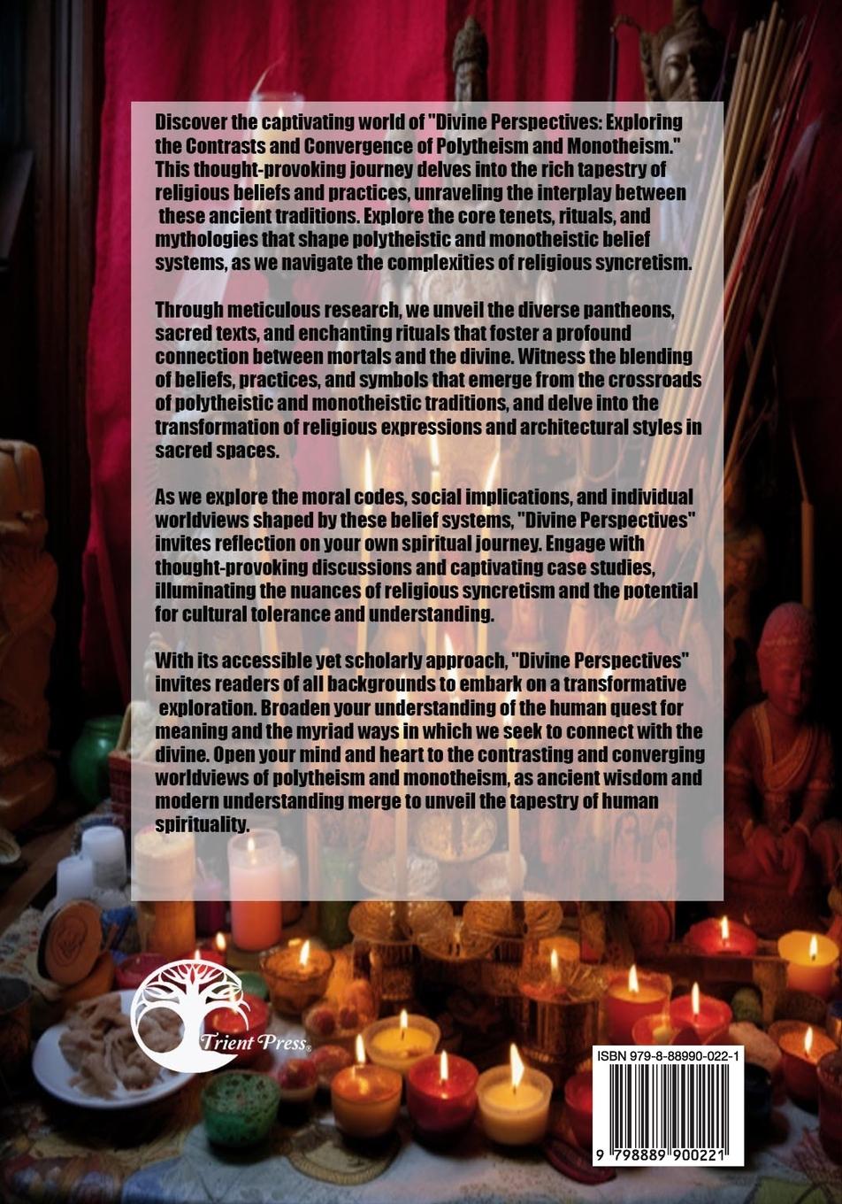 Rückseitencover Divine Perspectives