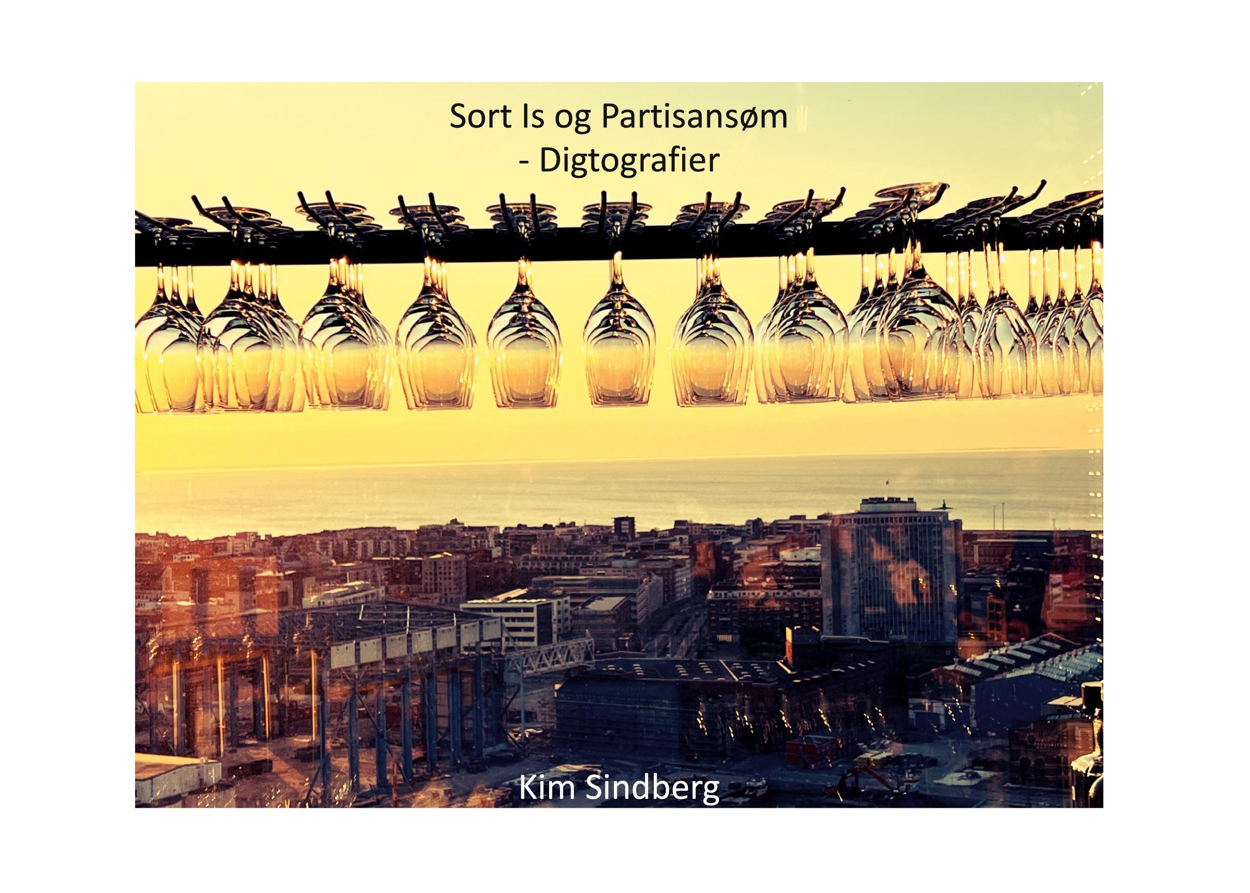 Vorderes Coverbild Sort Is og Partisansøm