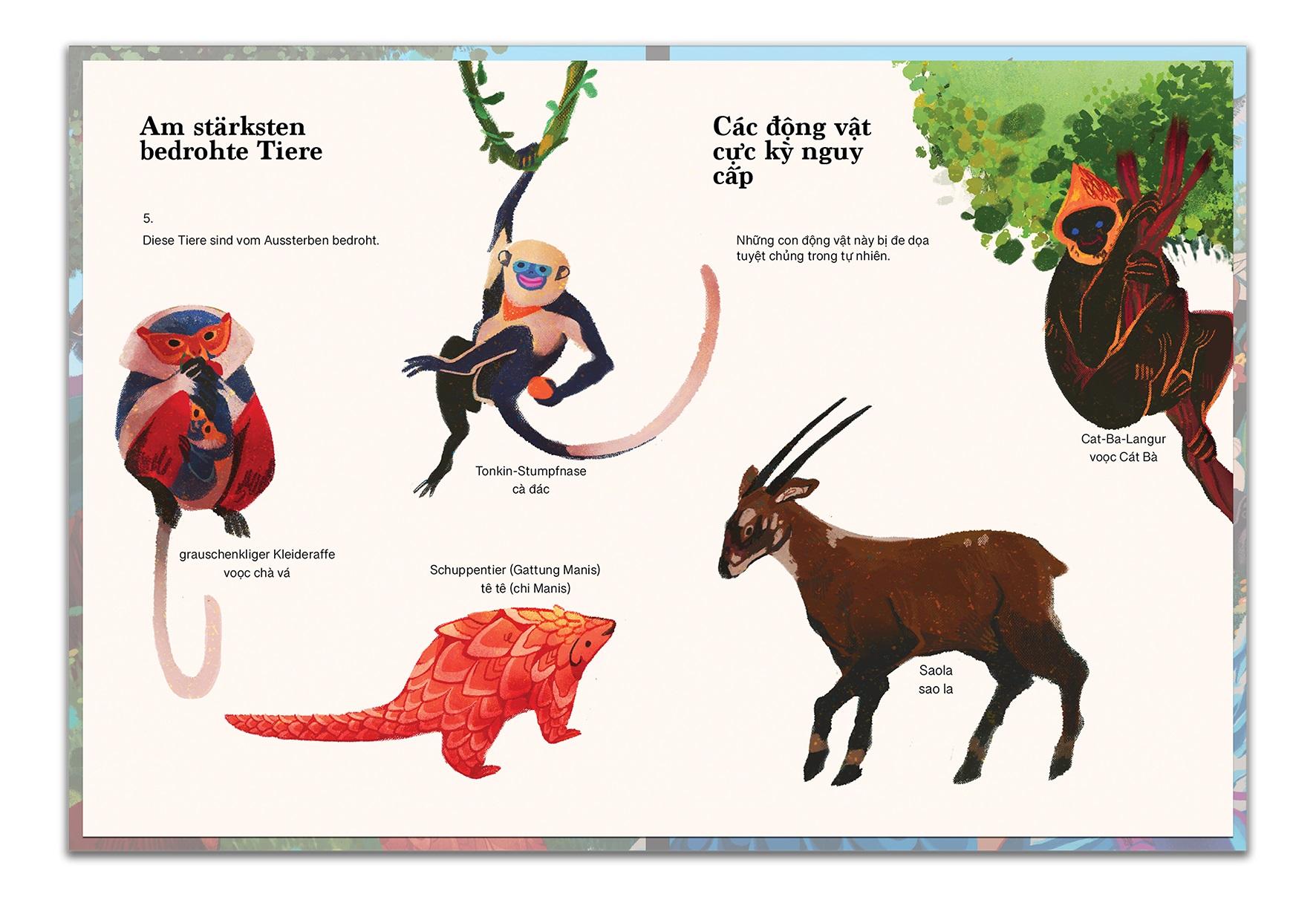 Beispielinhalt (Bild) Das Land der Drachen und Feen - ¿¿t n¿¿c con R¿ng cháu Tiên