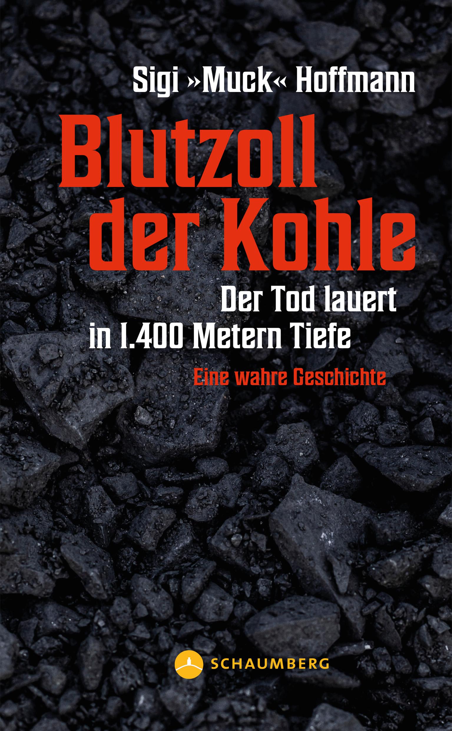 Vorderes Coverbild Blutzoll der Kohle