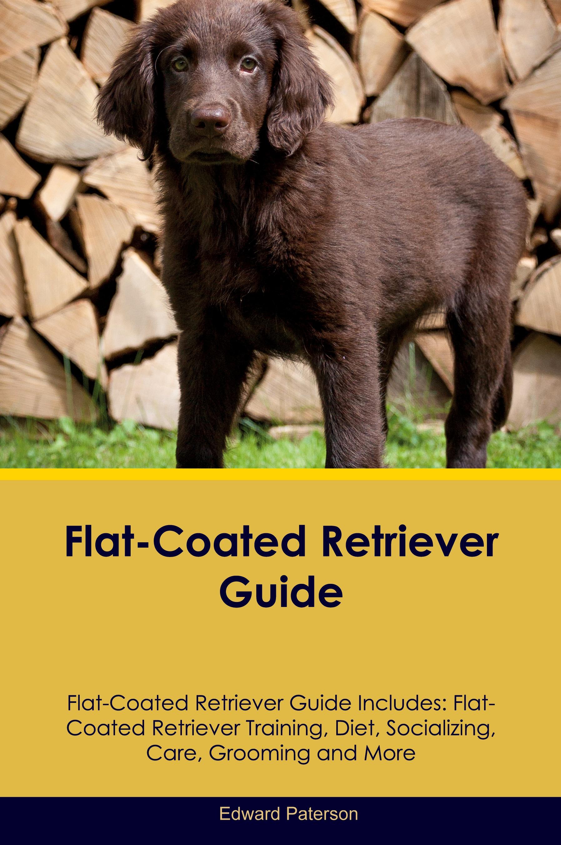 Vorderes Coverbild Flat-Coated Retriever Guide Flat-Coated Retriever Guide Includes
