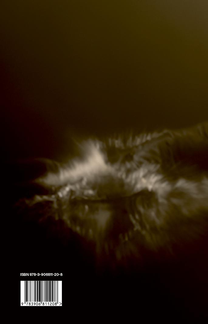 Rückseitencover Die Haube