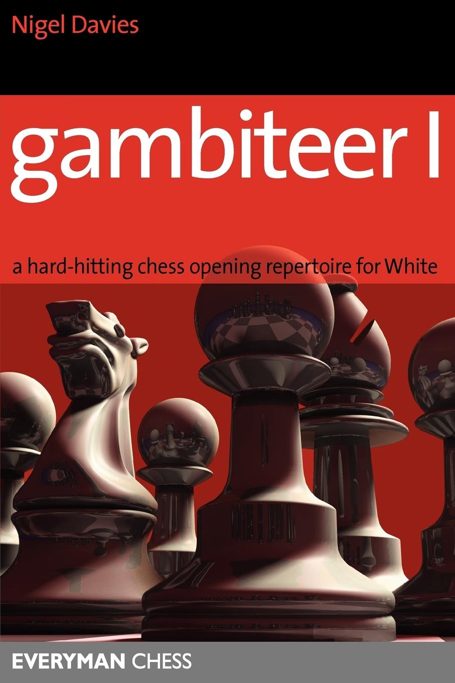 Vorderes Coverbild Gambiteer 1