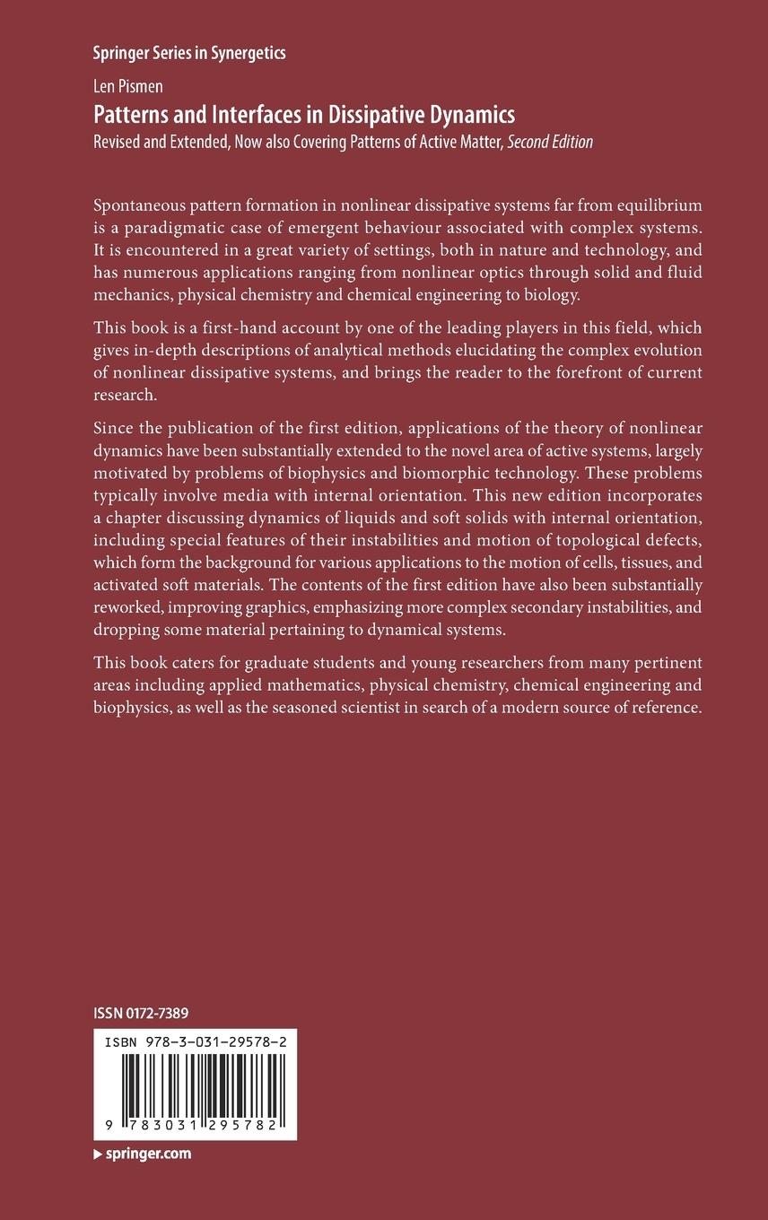 Rückseitencover Patterns and Interfaces in Dissipative Dynamics