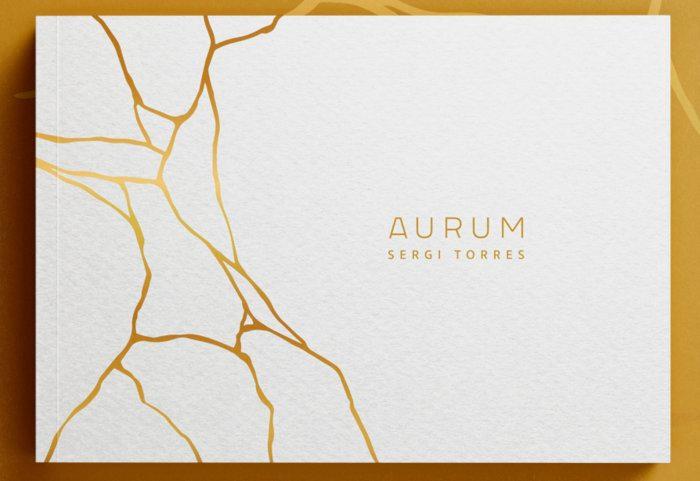 Vorderes Coverbild Aurum