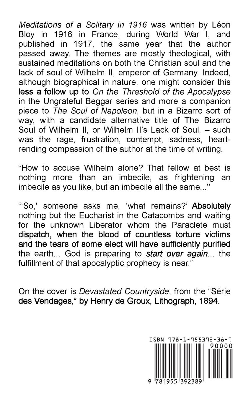 Rückseitencover Meditations of a Solitary in 1916