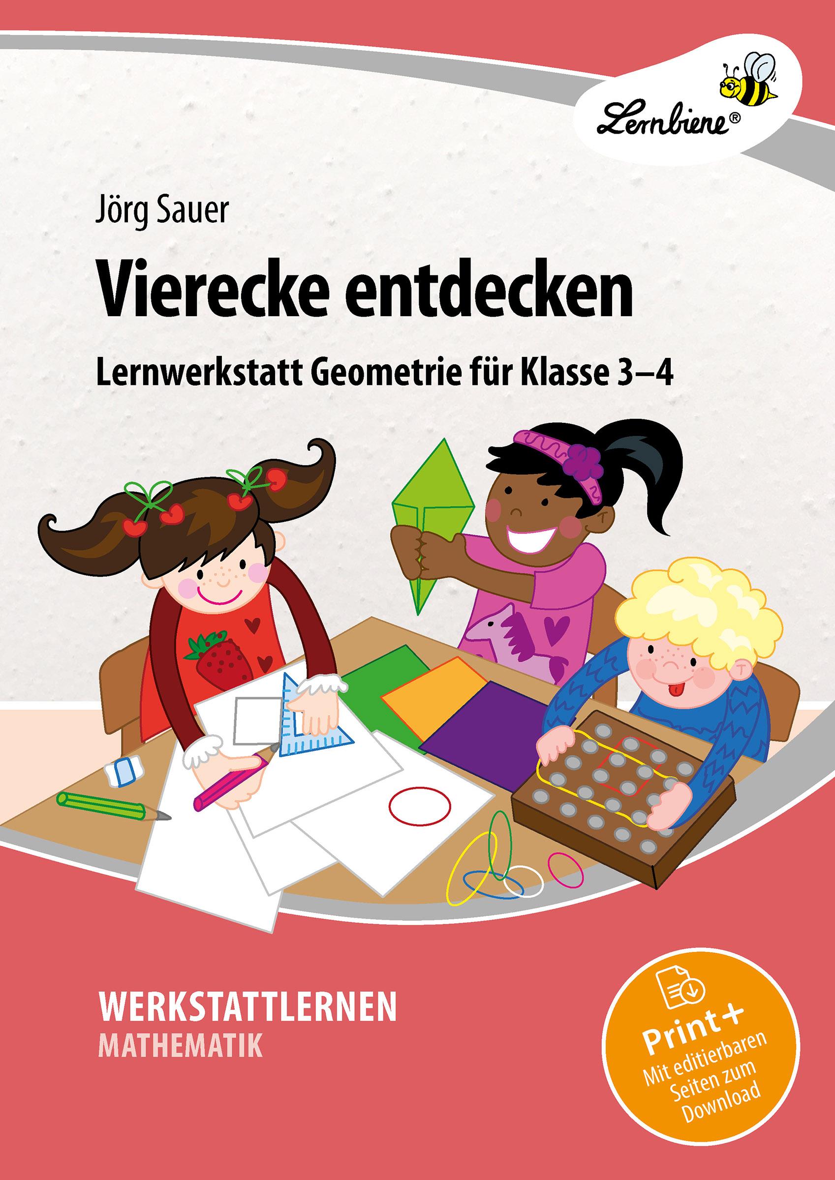 Vorderes Coverbild Vierecke entdecken