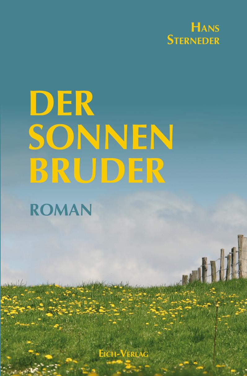 Vorderes Coverbild Der Sonnenbruder