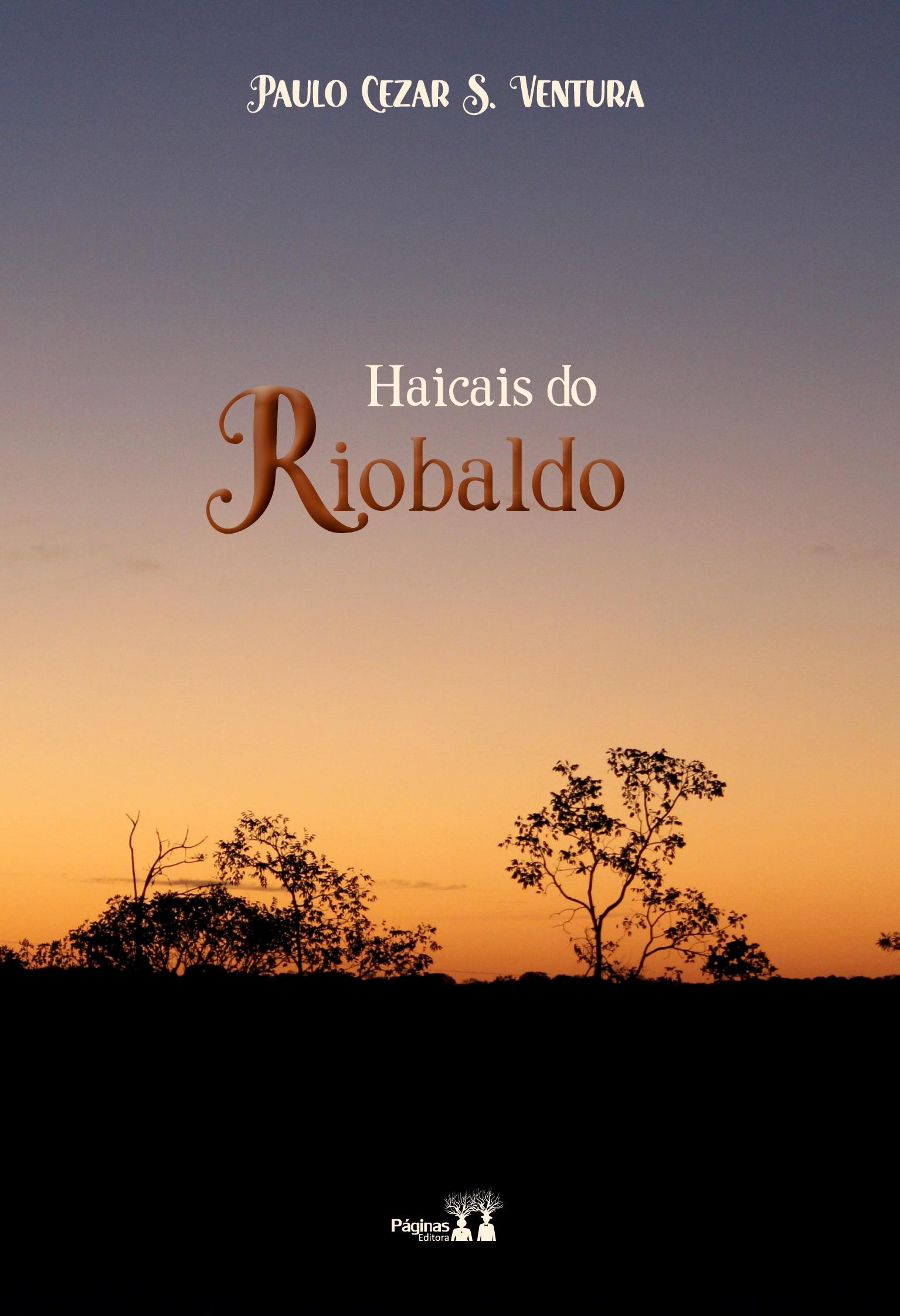 Vorderes Coverbild Haicais de Riobaldo