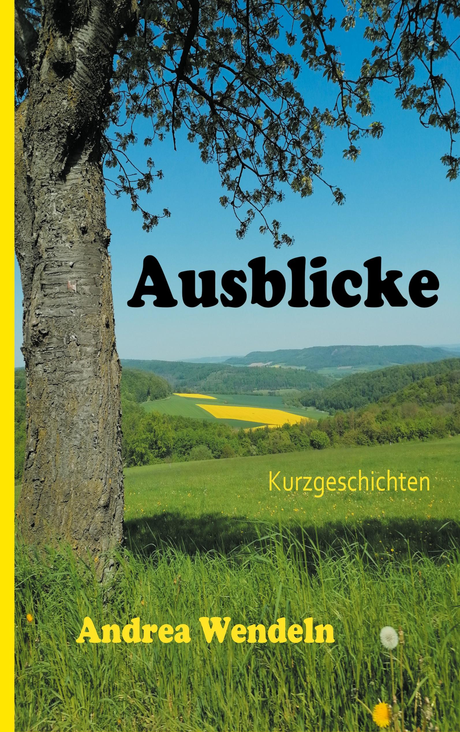 Vorderes Coverbild Ausblicke