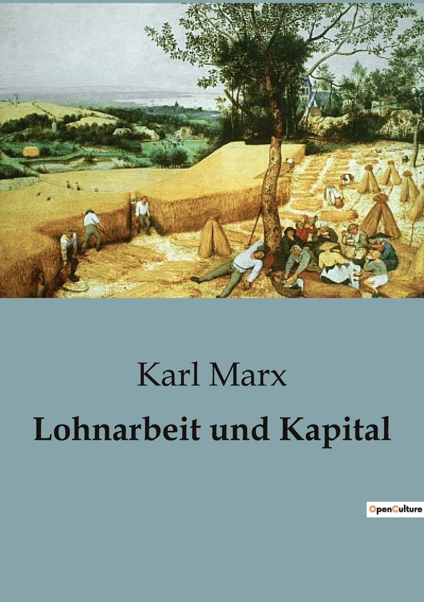 Vorderes Coverbild Lohnarbeit und Kapital