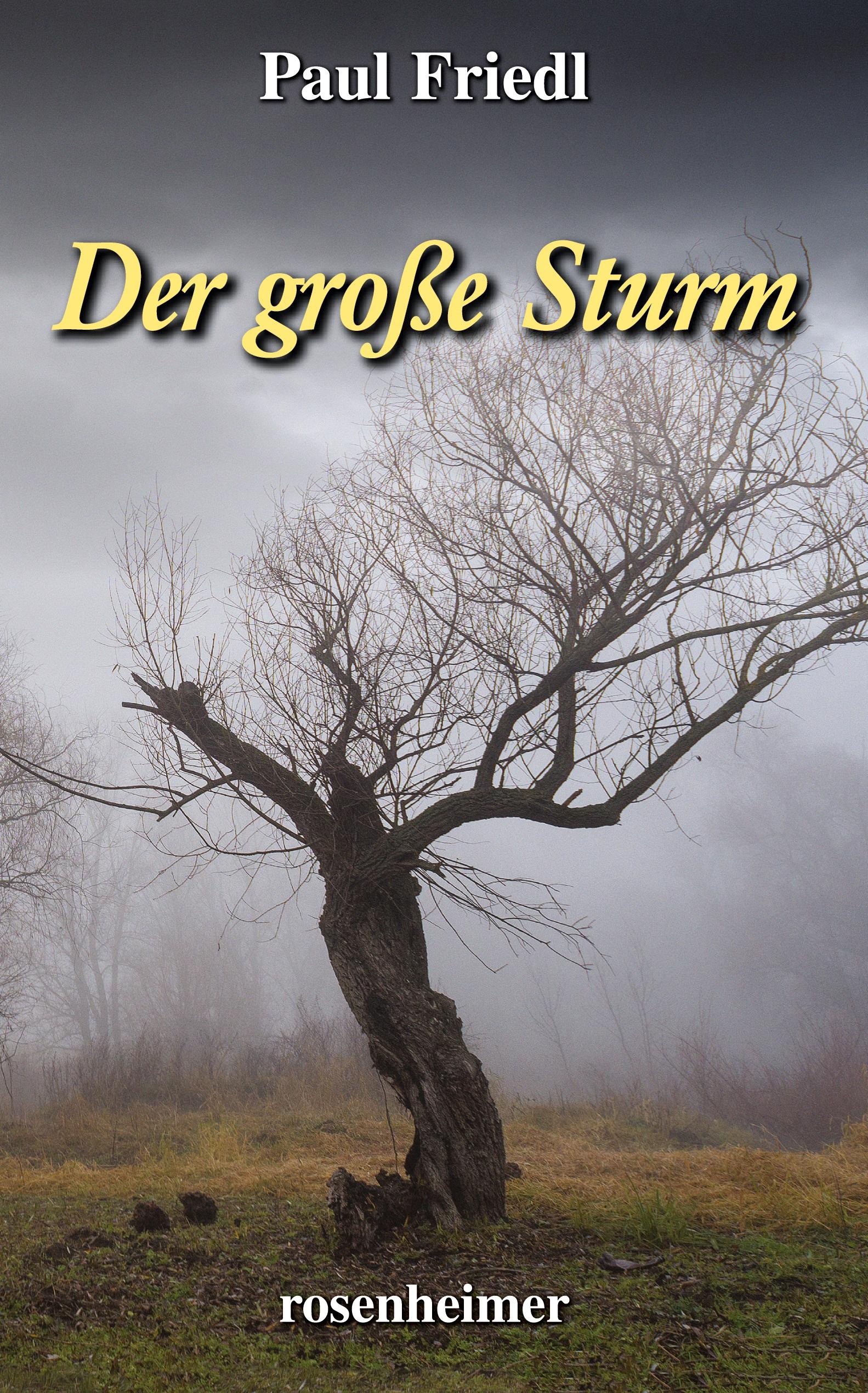 Vorderes Coverbild Der große Sturm