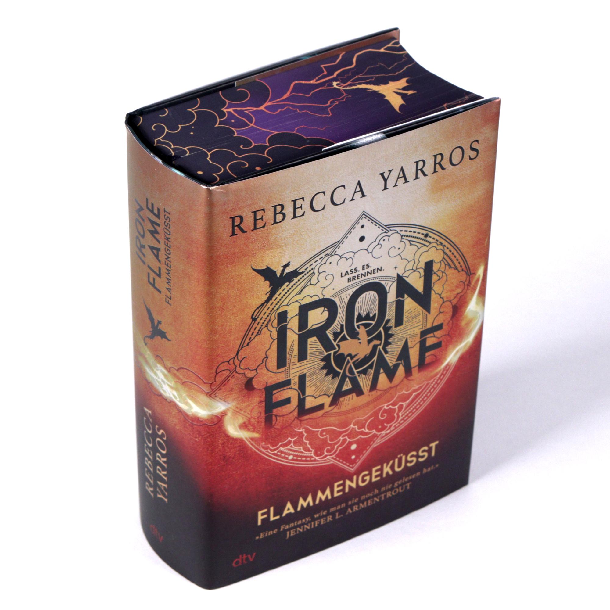 Beispielinhalt (Bild) Iron Flame - Flammengeküsst